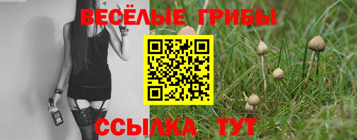 Галлюциногенные грибы Cubensis  Вход с VPN  Кемерово  Галлюциногенные грибы мицелий 